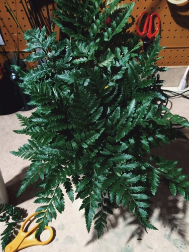 Processed with VSCOcam with a8 preset