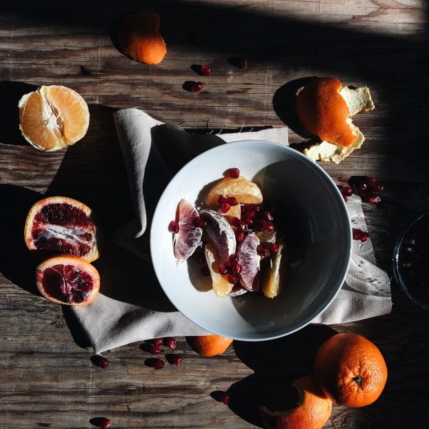 winter citrus display